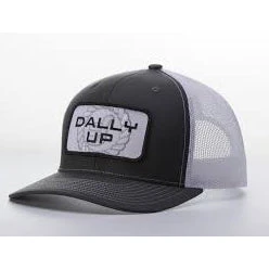 Dally Up Grey And White Logo Cap
